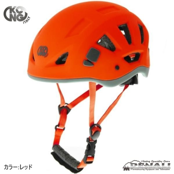 画像5: REEF (2020) (5)