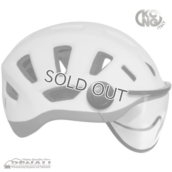 画像2: REEF Visor (2)