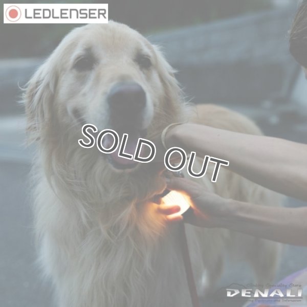 画像11: ML4 Warm Light (11)