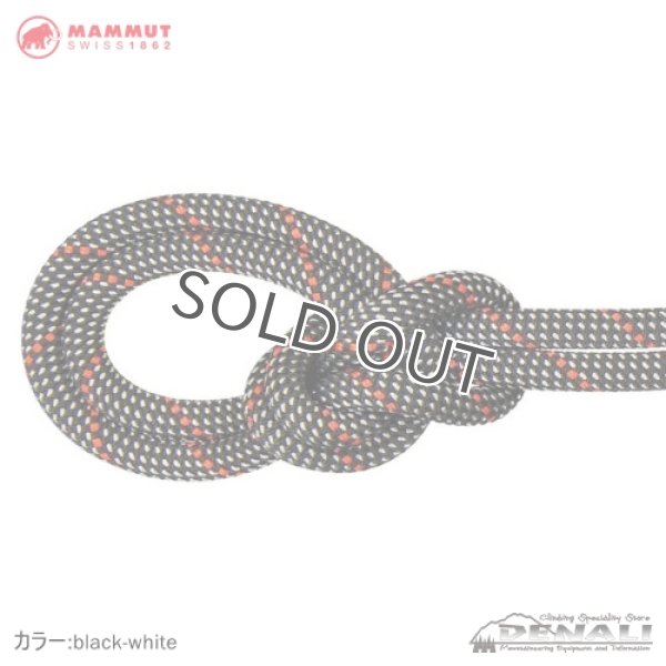 画像3: Crag Classic Rope 9.8mm (60m) (3)