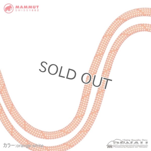 画像6: Crag Classic Rope 9.8mm (60m) (6)