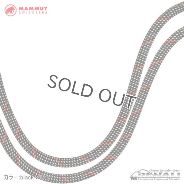 画像5: Crag Classic Rope 9.8mm (60m) (5)