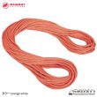 画像2: Crag Classic Rope 9.8mm (60m) (2)