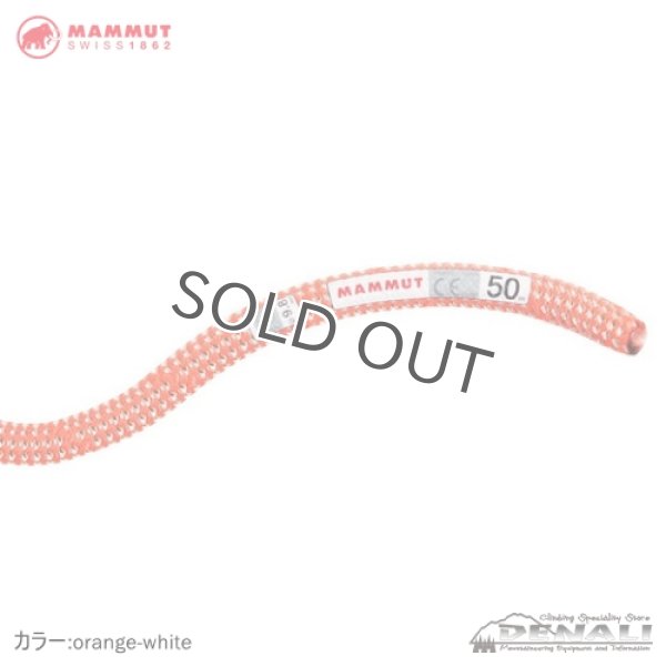 画像8: Crag Classic Rope 9.8mm (60m) (8)