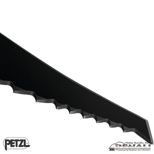 画像4: GULLY (Hammer&Adze) (4)