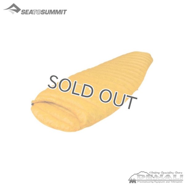 画像3: SPARK Sp0 (3)