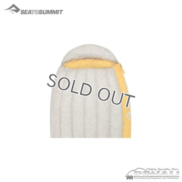 画像5: SPARK SpI (5)