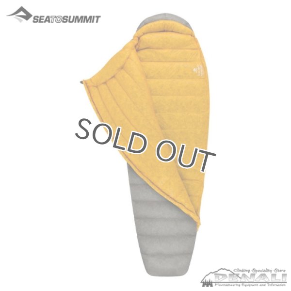 画像3: SPARK SpIV (3)