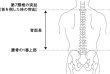 画像16: COBRA65 (2021FW) (16)