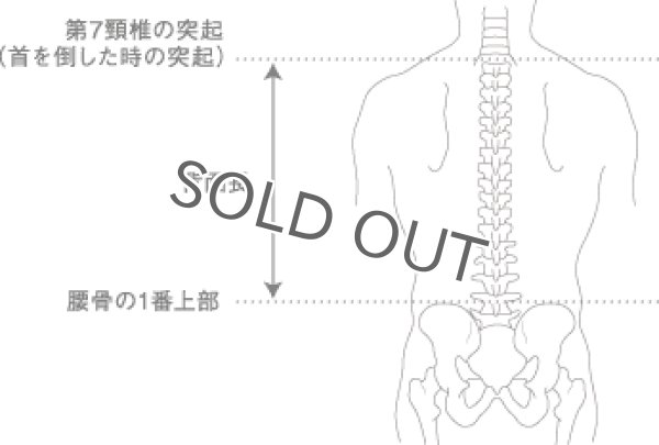 画像15: COBRA65 (2021FW) (15)