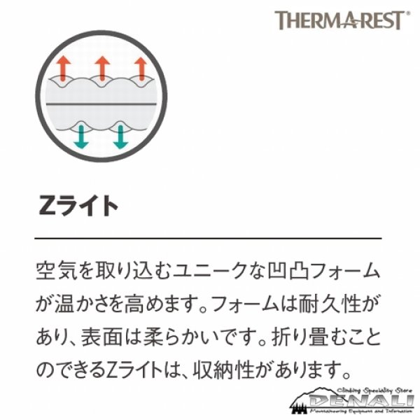 画像3: Z Lite Sol Regular (Update 2023) (3)