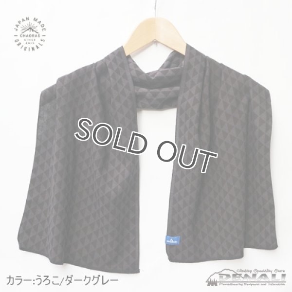 画像3: SPORTS TENUGUI (3)