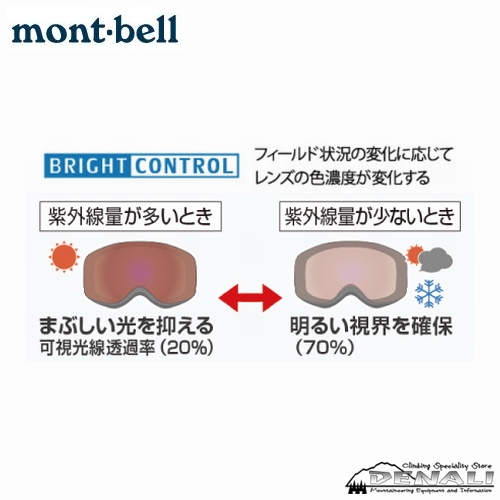 Glass-in Alpine Goggles BC - 山の店 デナリ
